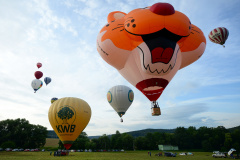 Balóny nad Bouzovem, 2019